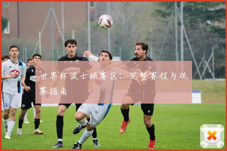世界杯波士顿赛区:完整赛程与观赛指南