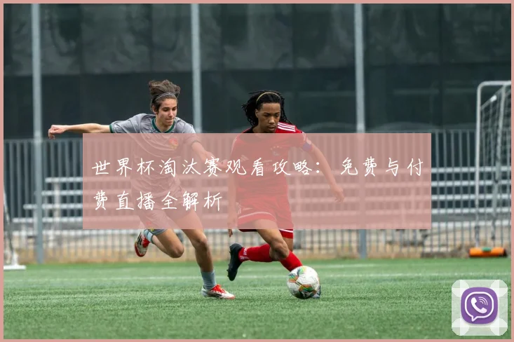 世界杯淘汰赛观看攻略:免费与付费直播全解析