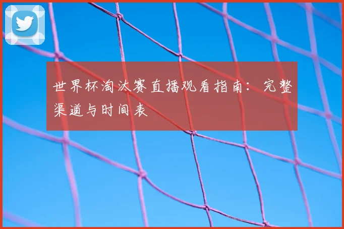 世界杯淘汰赛直播观看指南：完整渠道与时间表