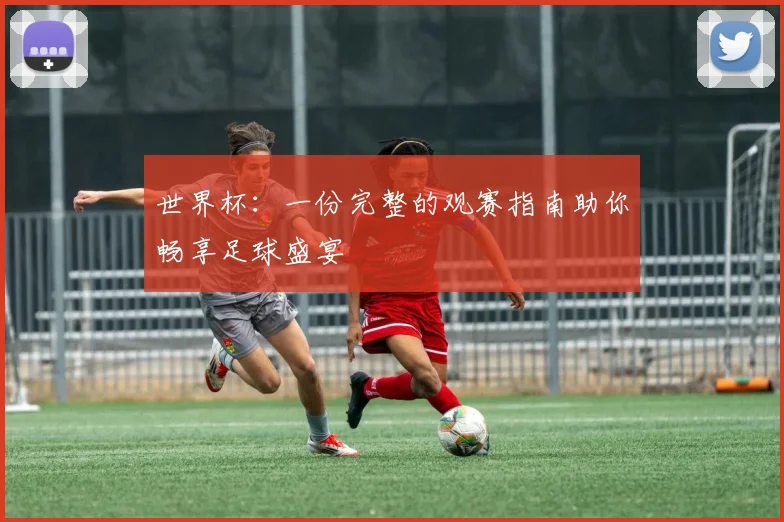 世界杯：一份完整的观赛指南助你畅享足球盛宴